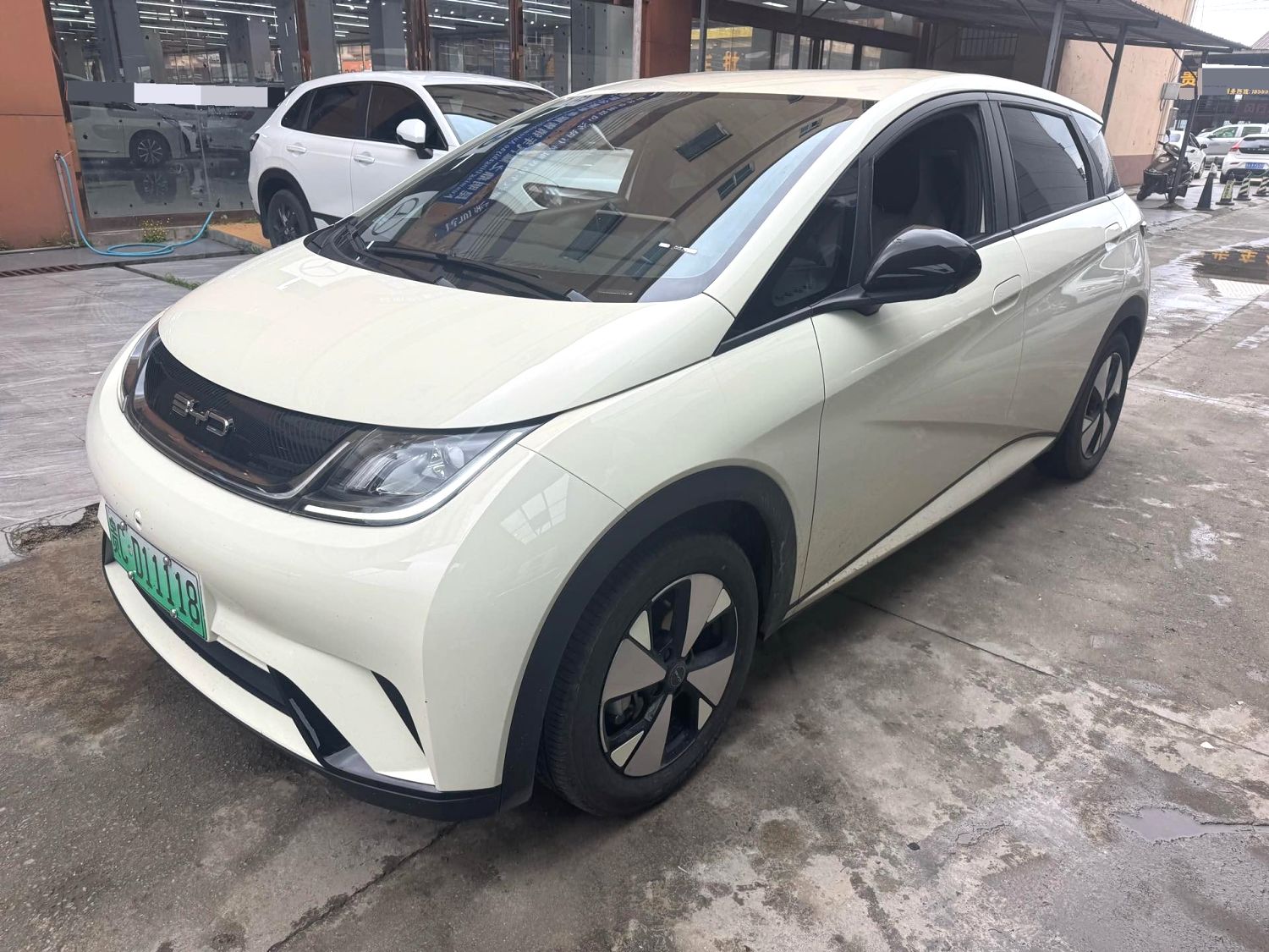BYD Dolphin Fashion Edition exterior